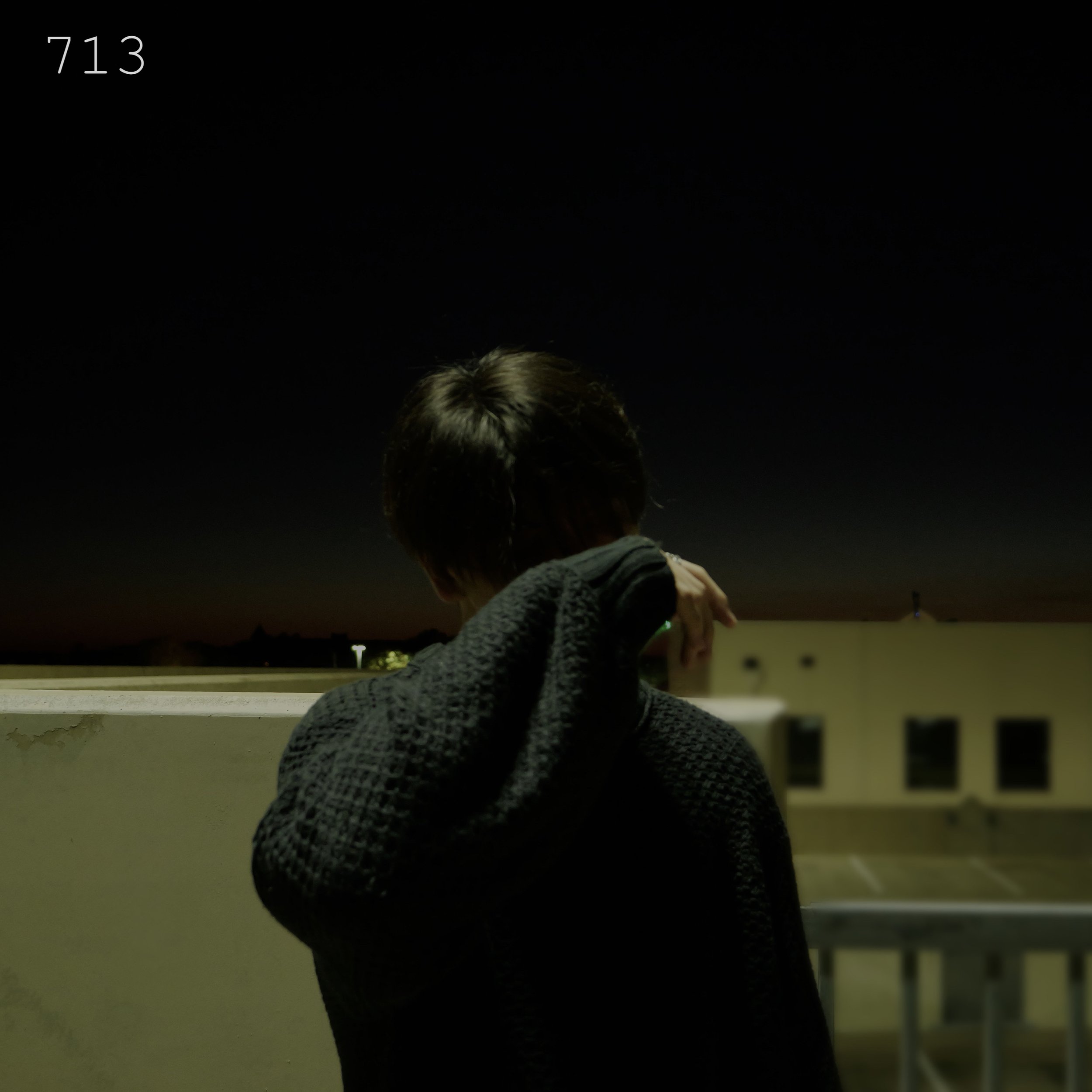 Minh 713 album cover