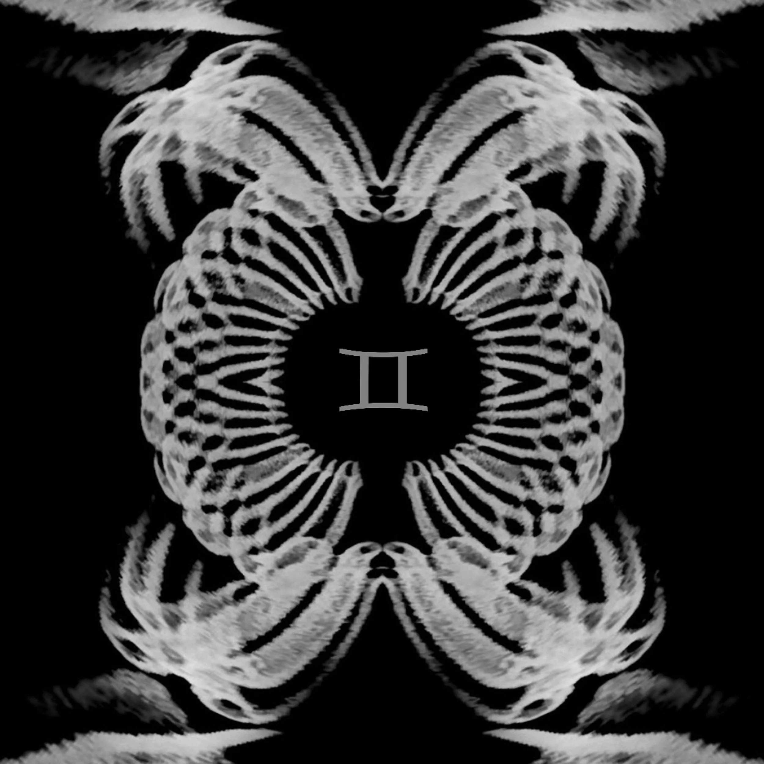 Minh gemini album cover