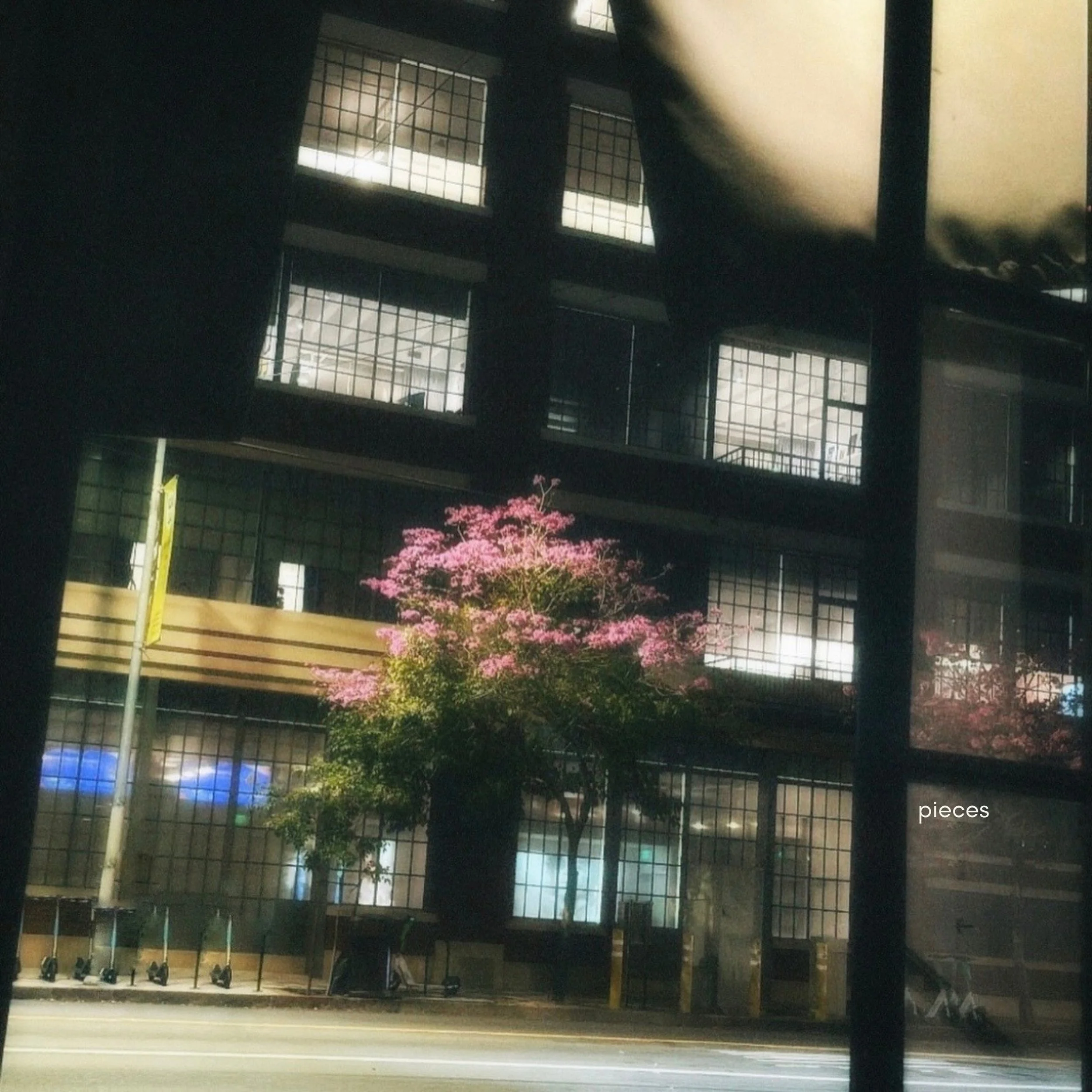 Minh pieces album cover