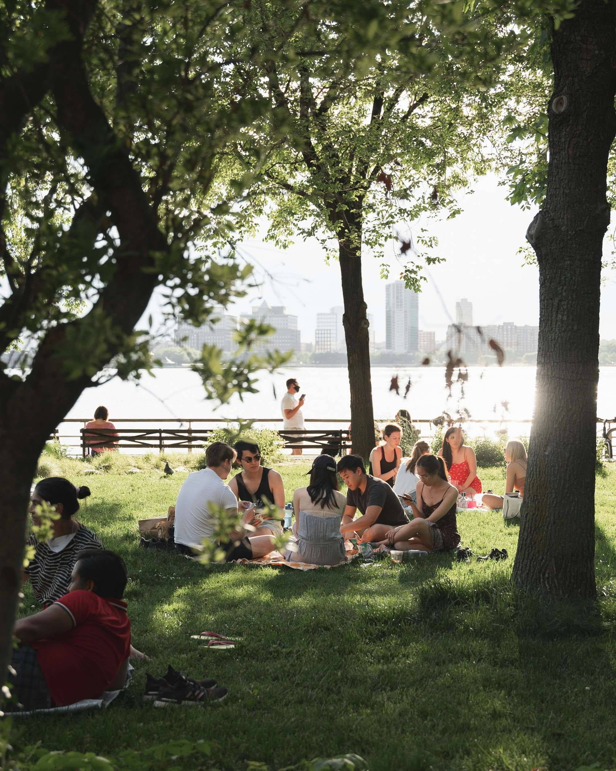 People sitting on the grass and at picnic tables by a water body, with city buildings in the distance, framed by trees in a park.