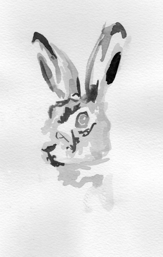 Hare.png