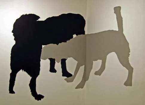 ArtBlog Shapes and Animals at Tiger and Grizzly by Becca Kantor