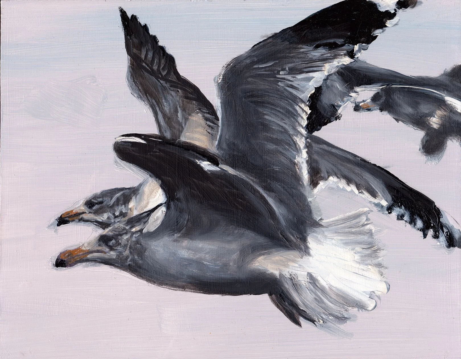 Sea Gulls - Great Salt Lake
oil on panel 8 × 10” 2025