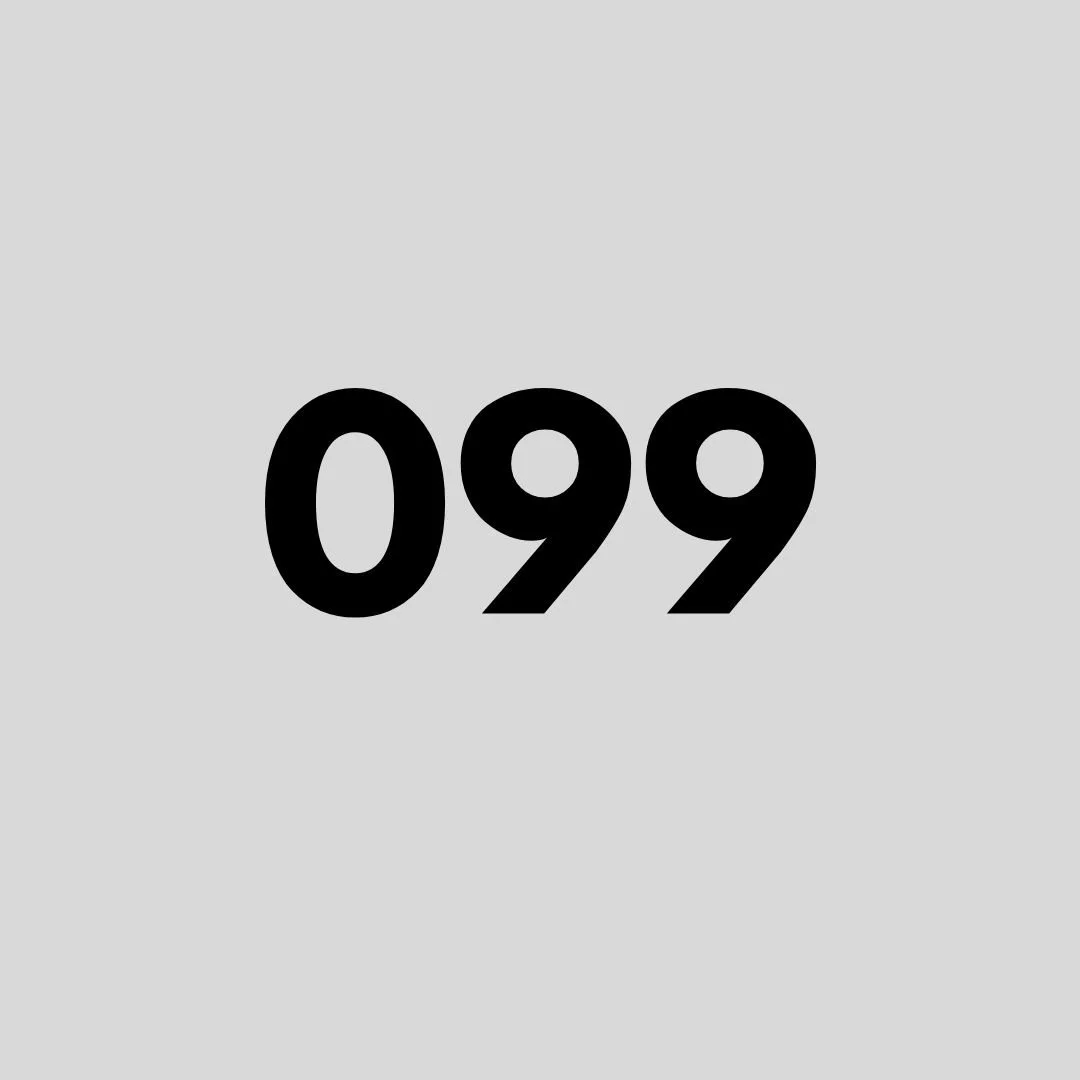 99 Painting
