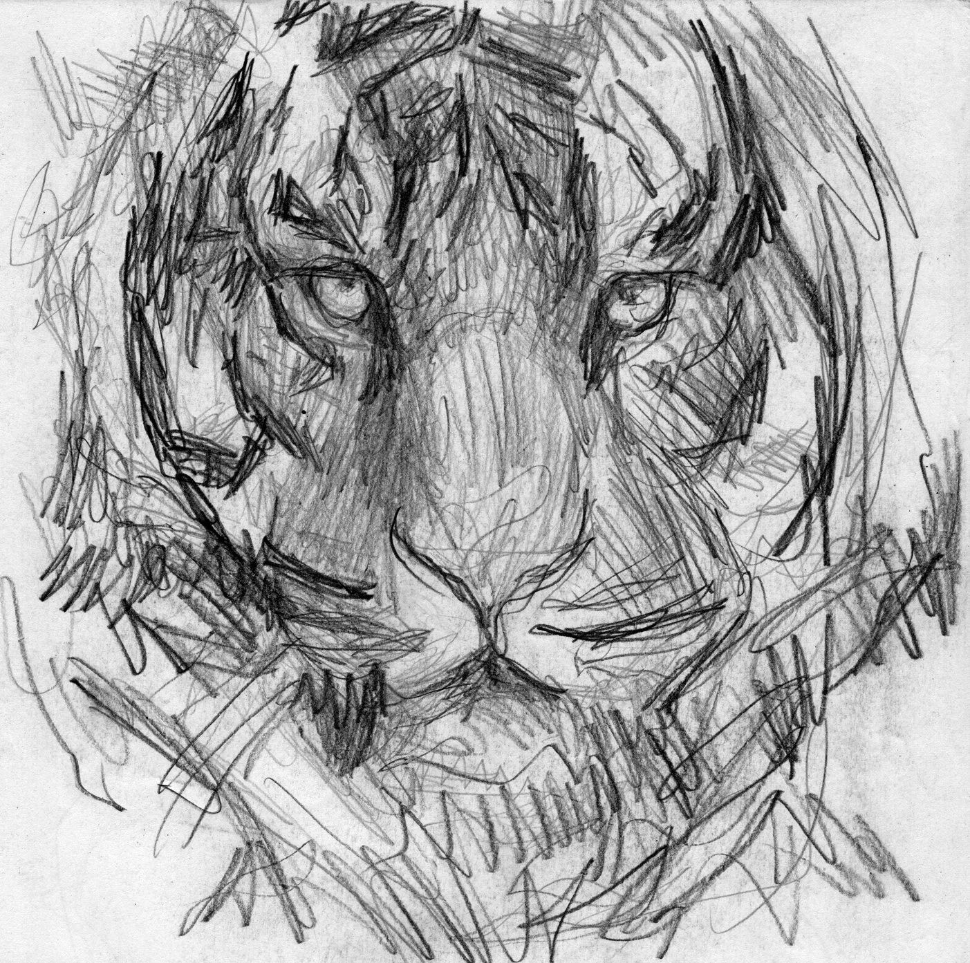 Colleen Rudolf Tiger.jpg