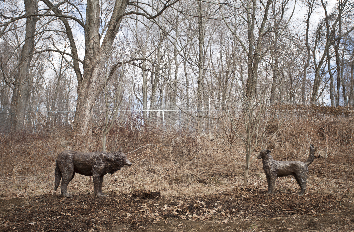 Encounter
Bronze Wolf 60" x 48" x 20" Dog 48" x 48" x 18" 2011

This piece is available for purchase. Please send an email to admin@colleenrudolf with any purchase inquiries. 