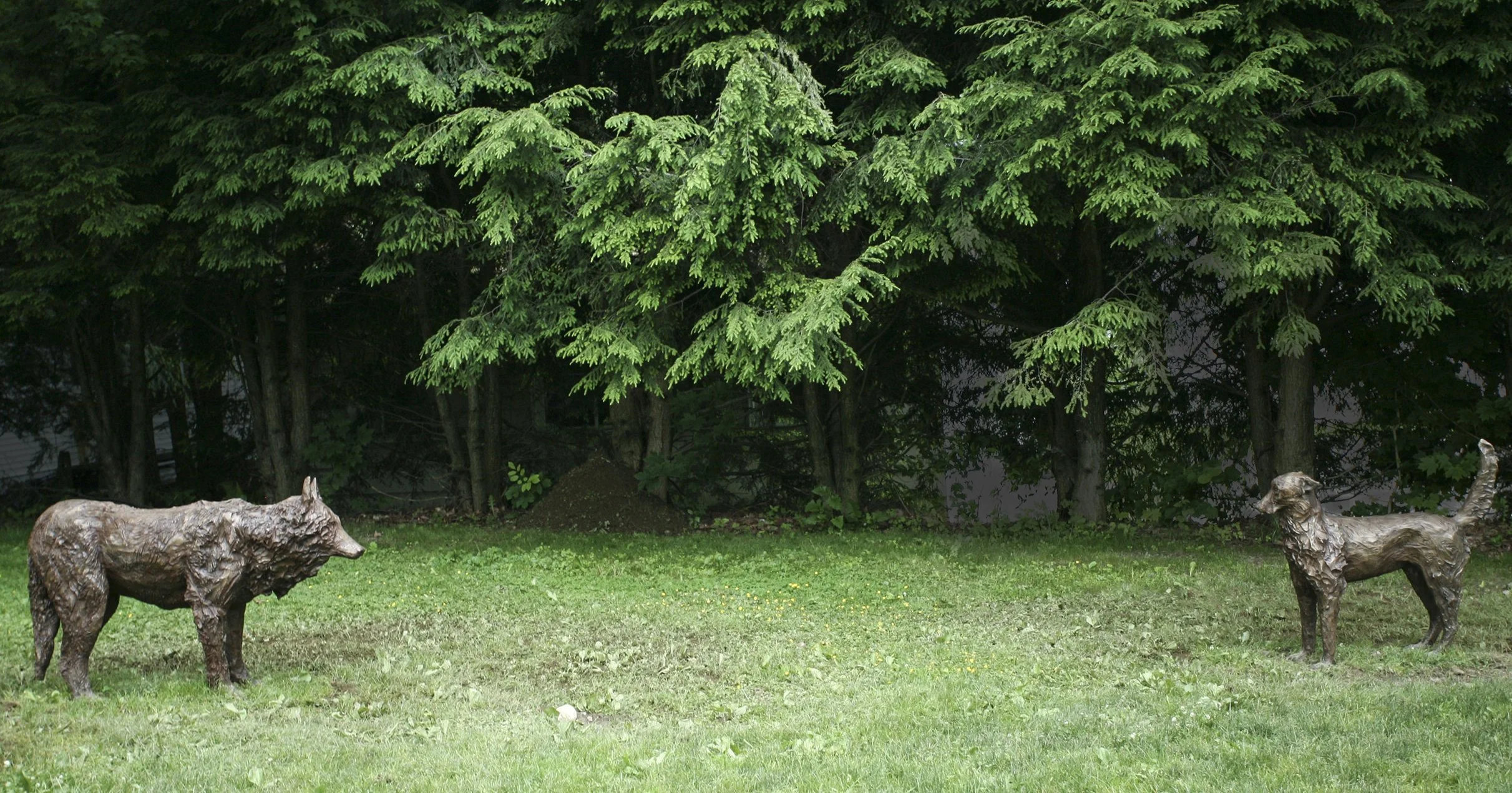 Encounter
Bronze Wolf 60" x 48" x 20" Dog 48" x 48" x 18" 2011
As installed at the Contemporary (formerly Helen Day Art Center) in Stowe, VT as part of their outdoor sculpture exhibition Exposed.

This piece is available for purchase. Please send an 