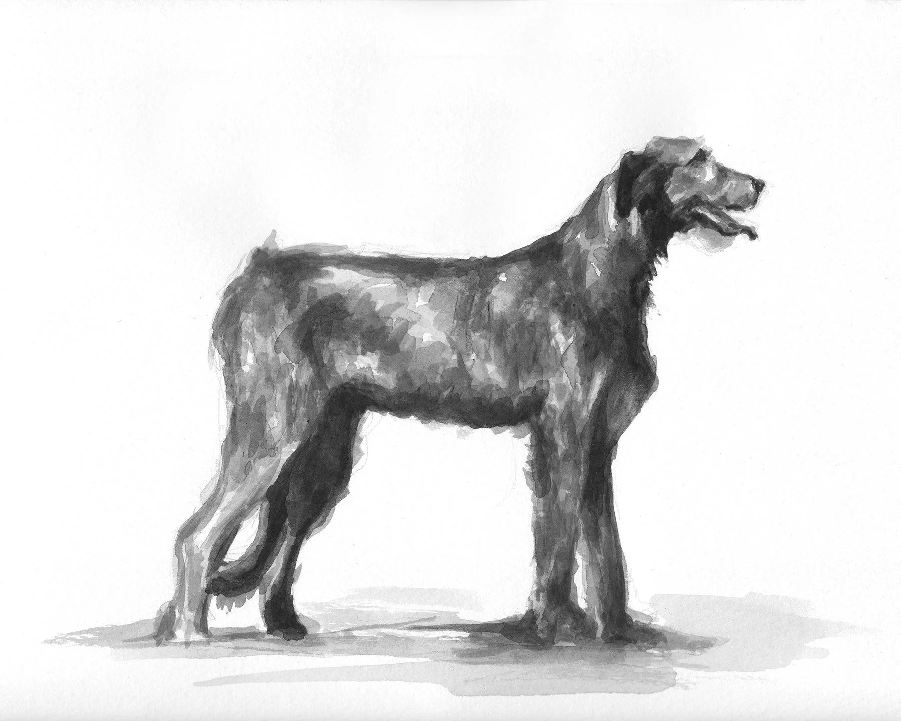 Scan_20250402 (3).jpg