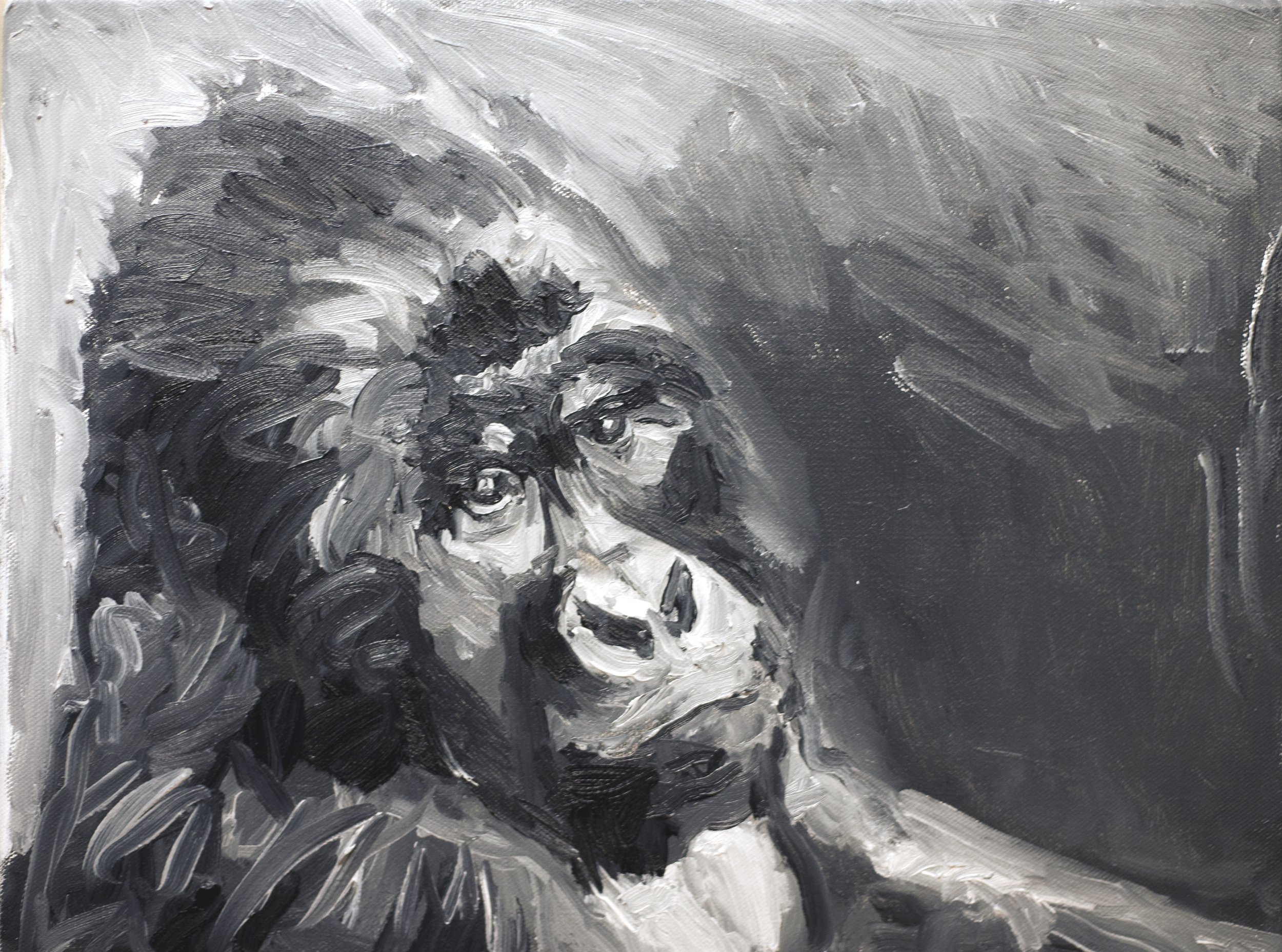 A Cloud in the Distance
oil on canvas 12" x 16" 2014

Private Collection