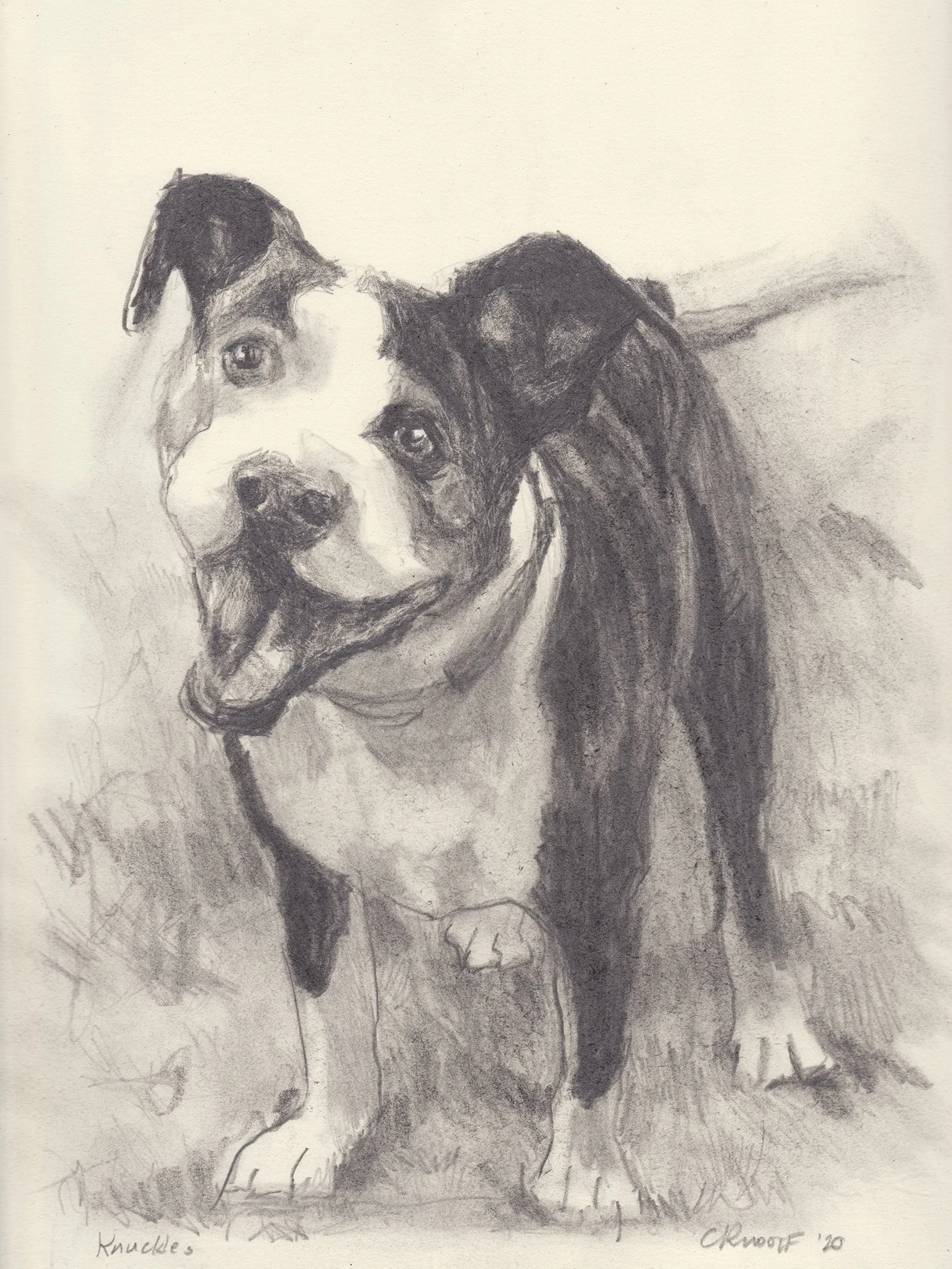 Knuckles Julia Klein.jpg