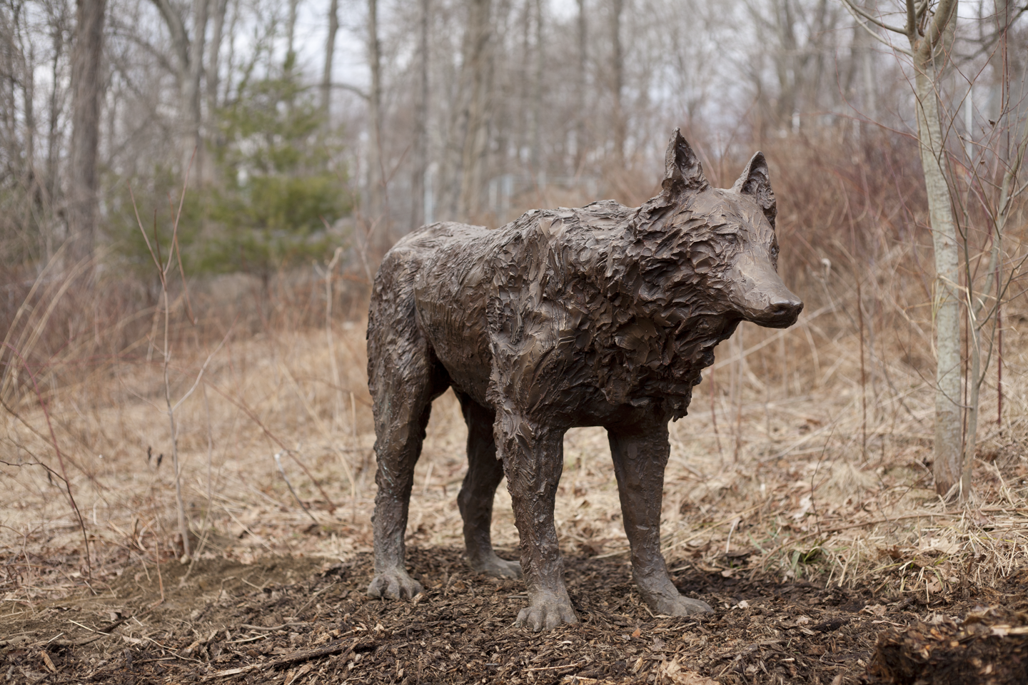 Encounter
Bronze Wolf 60" x 48" x 20" Dog 48" x 48" x 18" 2011

This piece is available for purchase. Please send an email to admin@colleenrudolf with any purchase inquiries. 