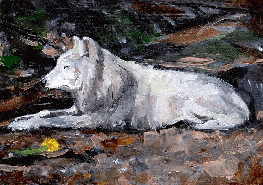 Lone Wolf
oil on panel 5” x 7” 2020

Private Collection