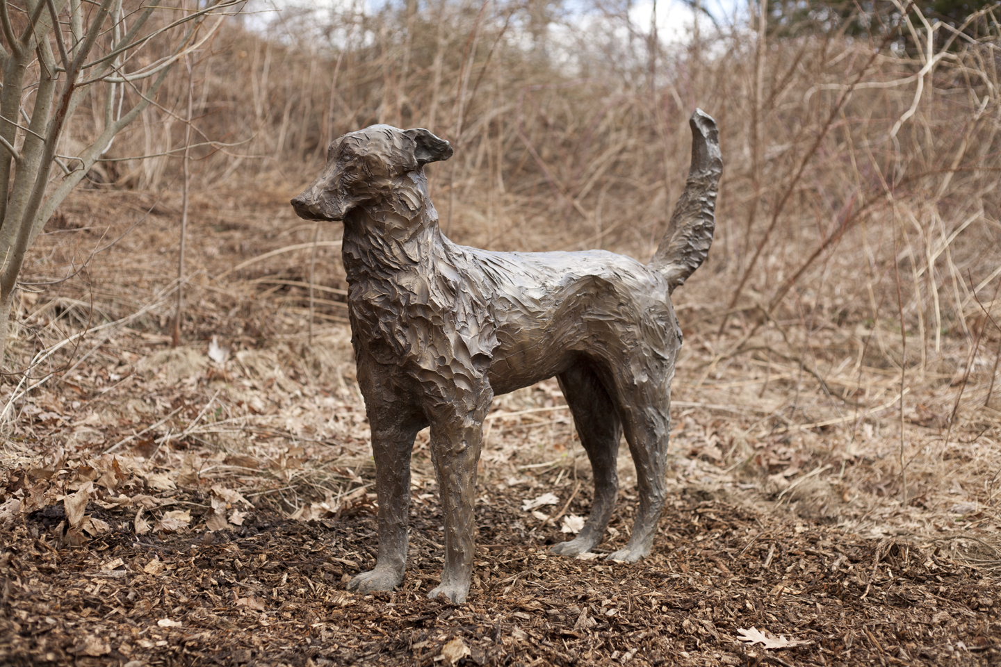 Encounter
Bronze Wolf 60" x 48" x 20" Dog 48" x 48" x 18" 2011

This piece is available for purchase. Please send an email to admin@colleenrudolf with any purchase inquiries. 