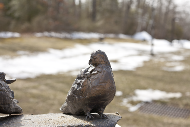 Pigeons (detail)
As installed at Burlington County Community College, Pemberton, NJ 2011

Three bronze pigeons on a concrete pedestal, surrounded by concrete pigeons on the ground.