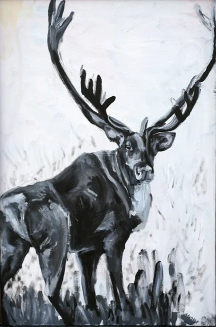 In the Stillness
oil on panel 24" x 36" 2013

Private Collection