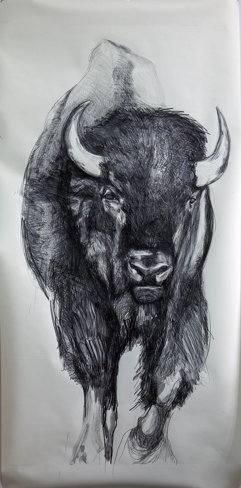 Large Scale Wildlife Drawings