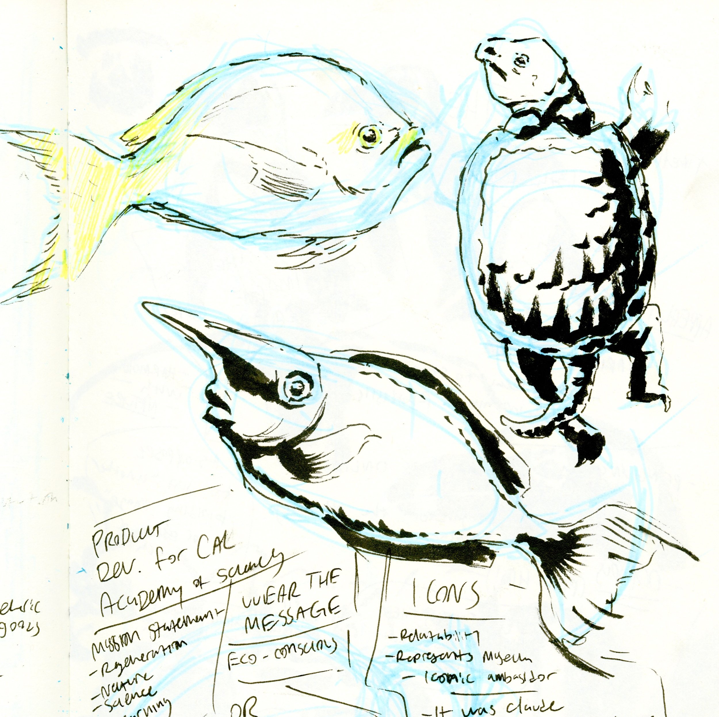 sketchbook3.jpg
