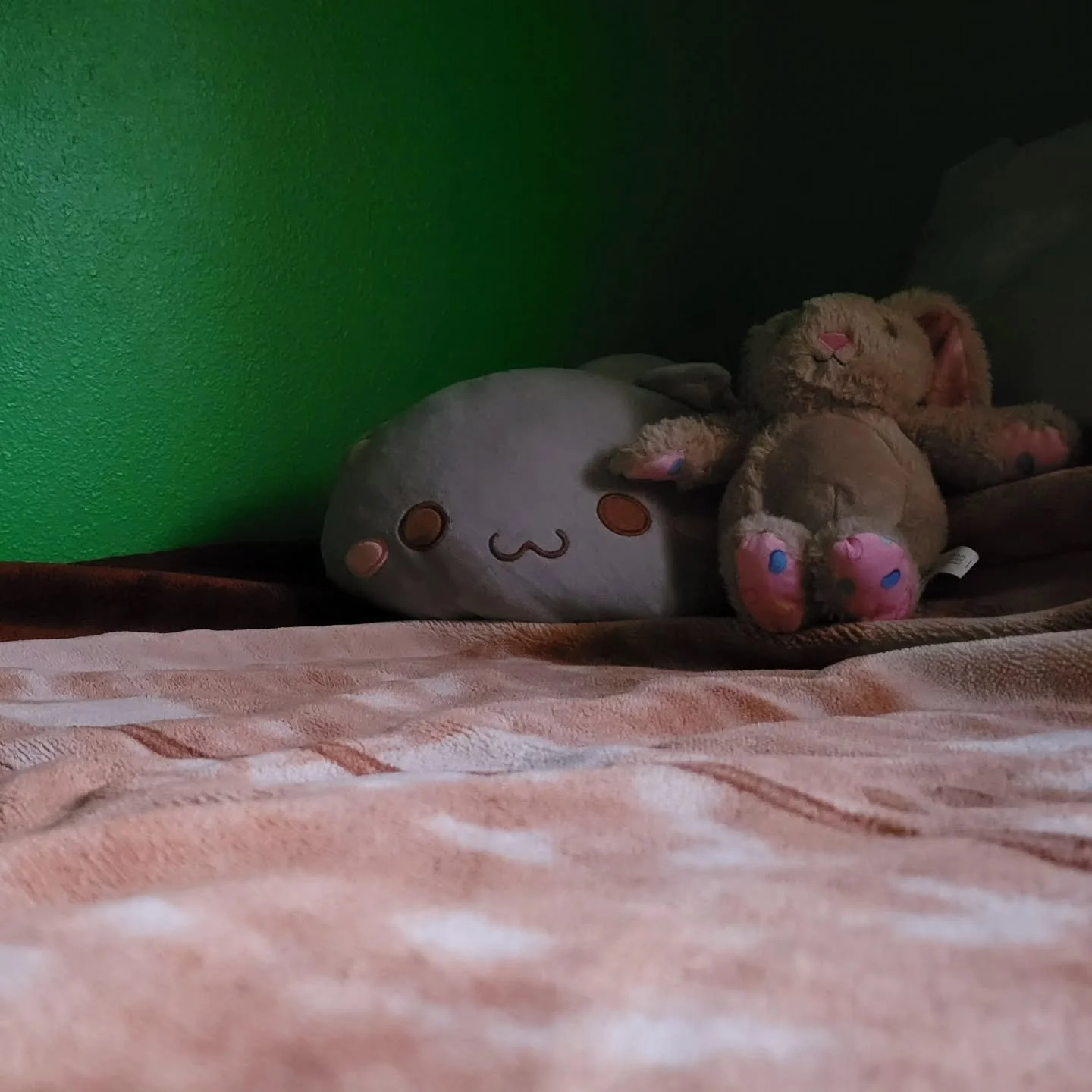 Mini photo dump of trashed images that were going to be used for Point, Line, Plane project, but didn't follow the rules of where we were supposed to take our images. iykyk. 

My room. Taken with S21 camera.