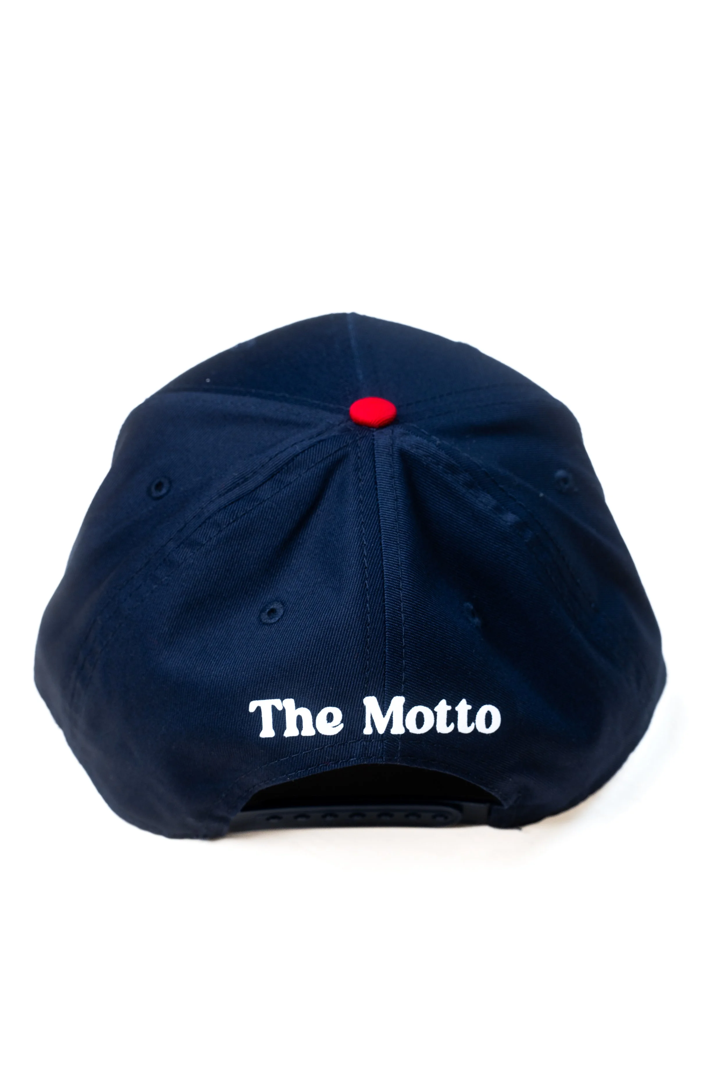 LHW two tone hat back shot .jpg