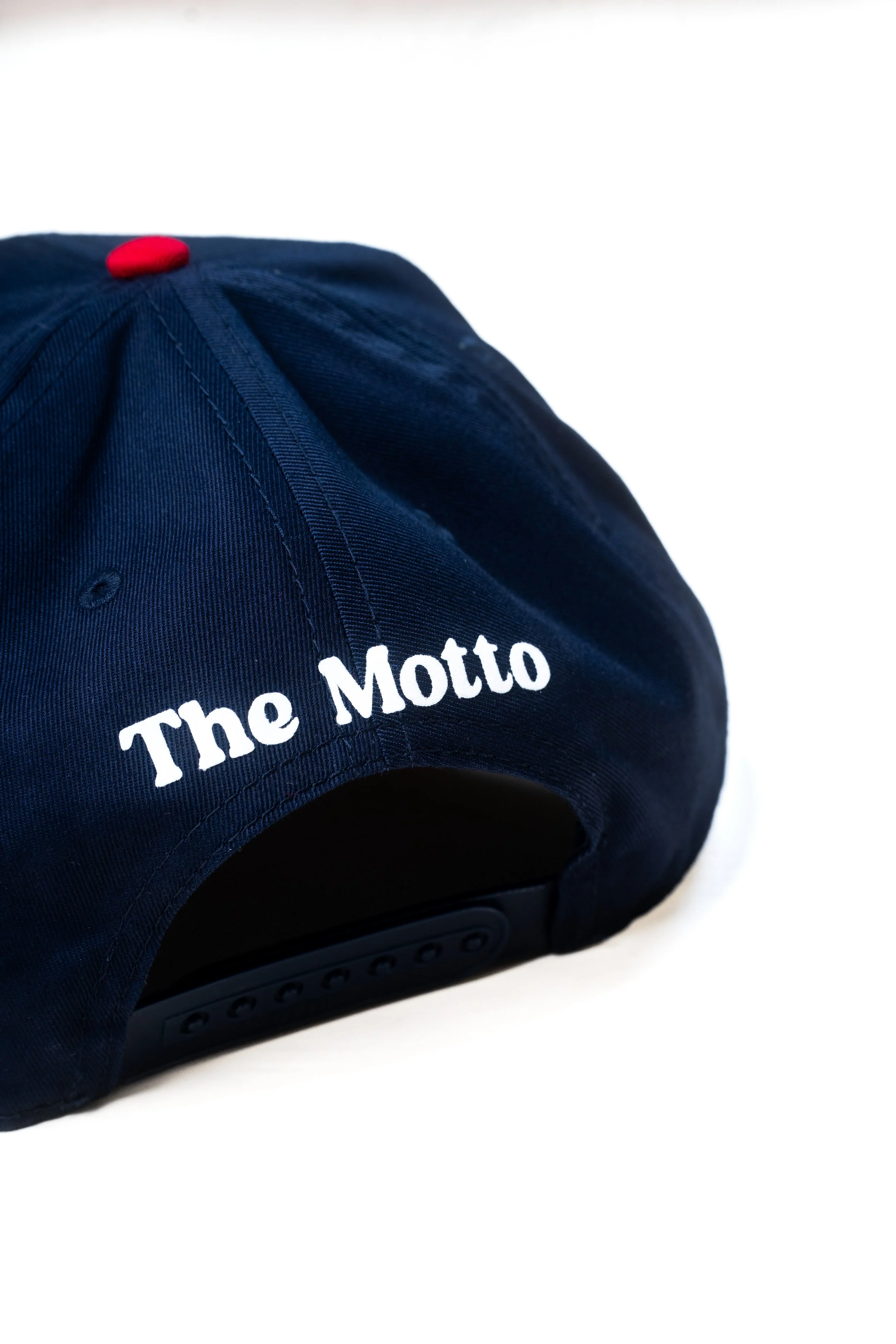 LHW two tone hat back shot 2.jpg