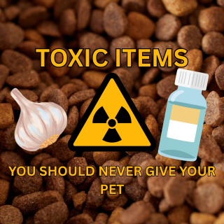 TOXIC ITEMS YOU SHOULD NEVER GIVE YOUR PETS