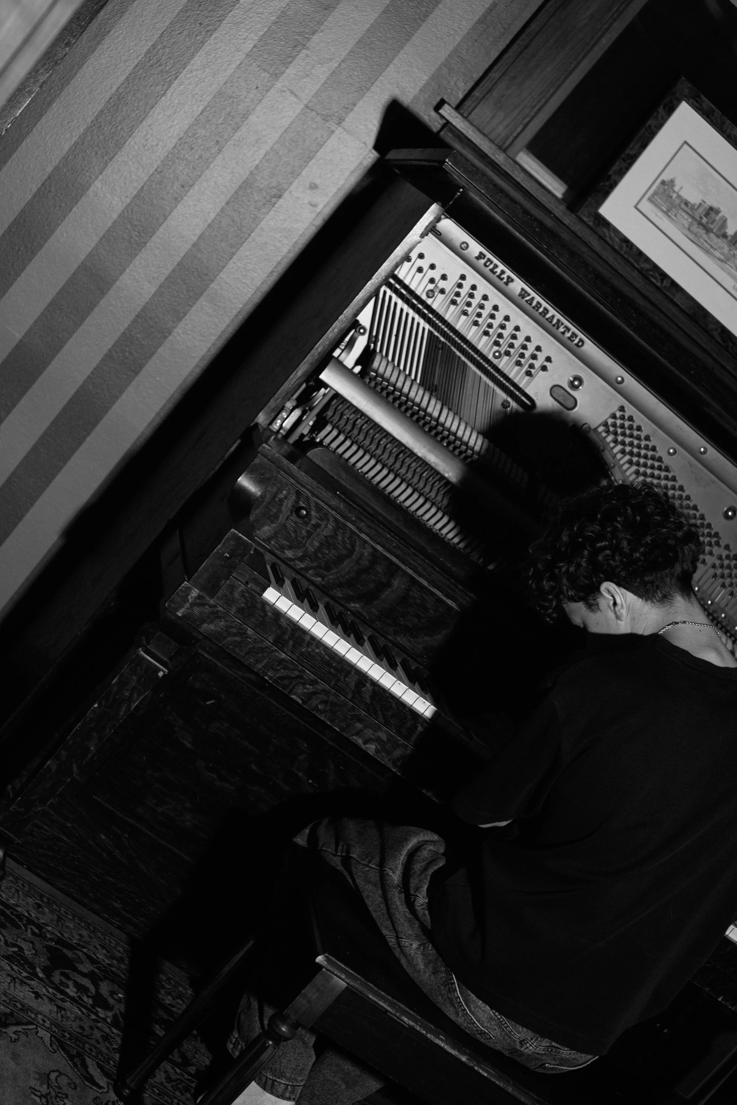 A person with curly hair playing a piano, which has the name 'Philip Harboured' on it. The room has framed pictures on the wall and a patterned rug on the floor.