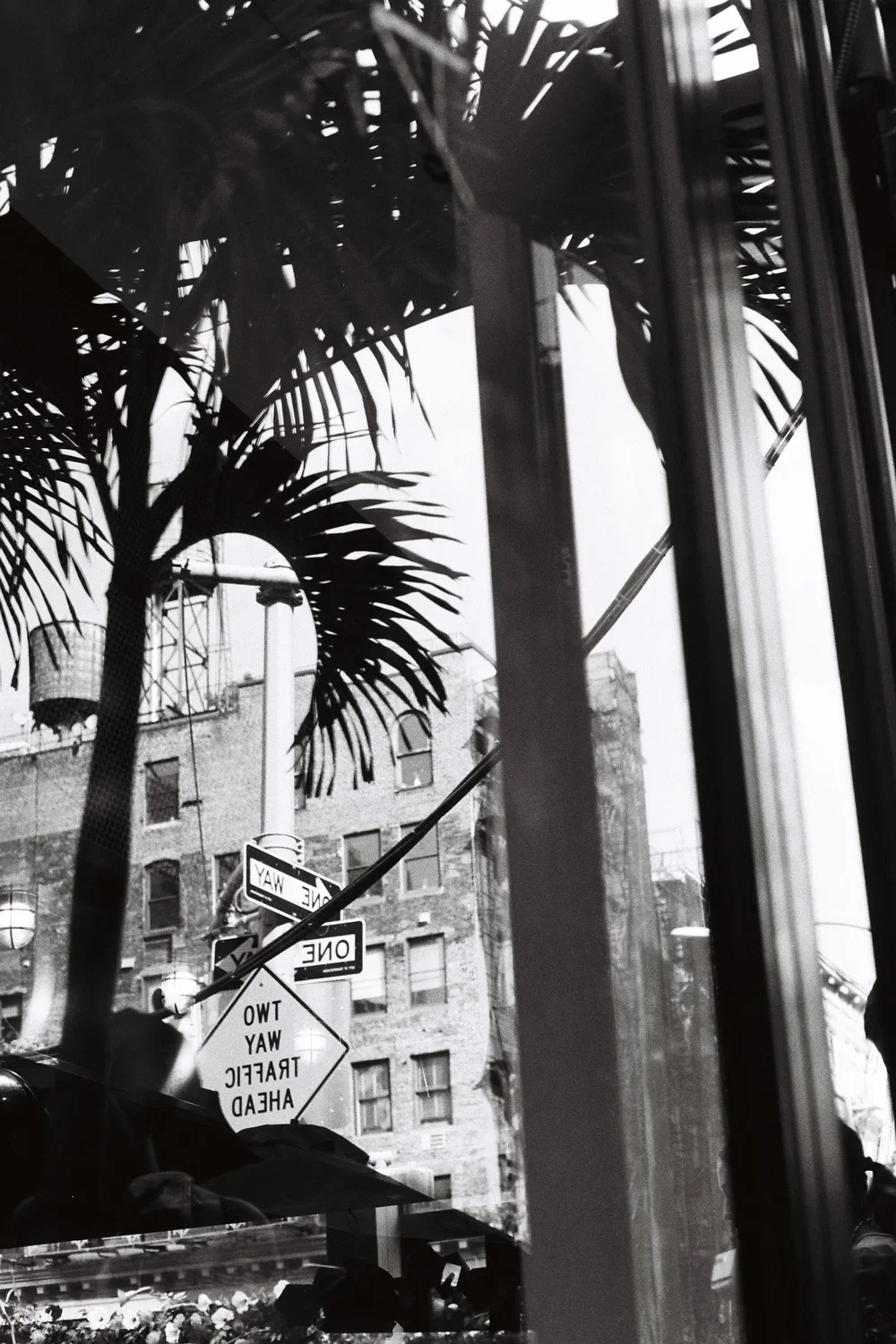 Urban Jungle