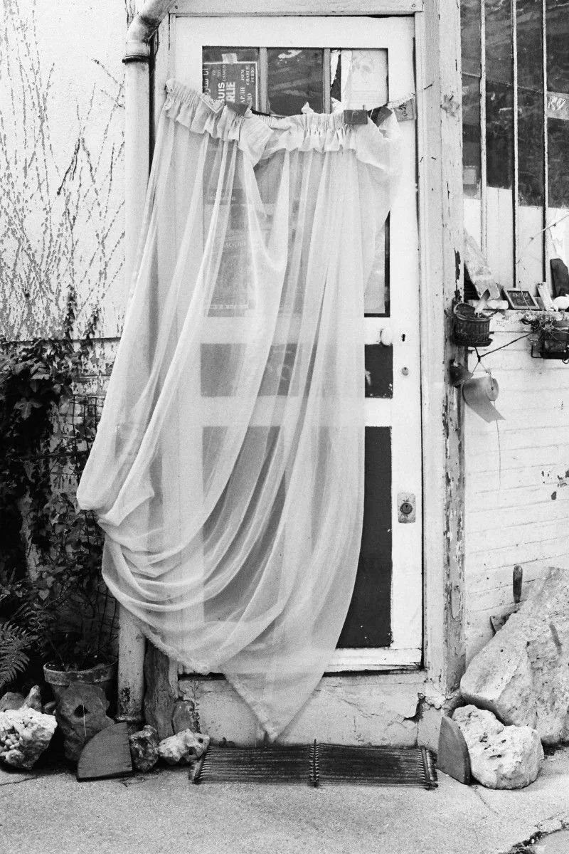 Veiled Elegance