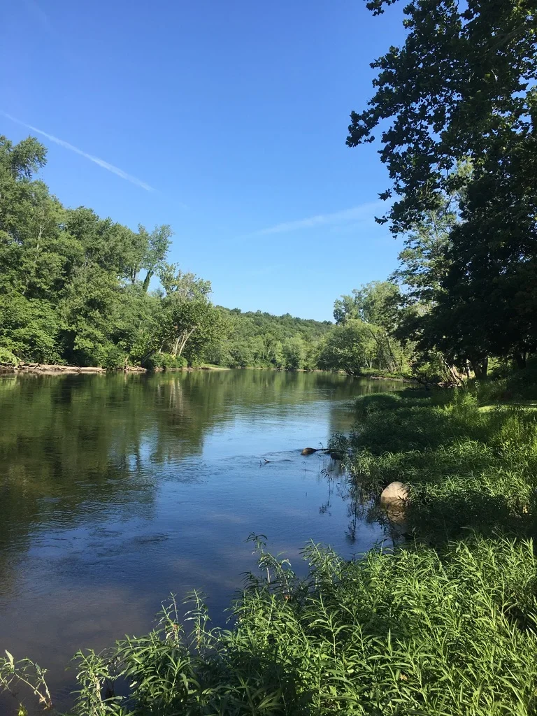 A peaceful river scene with clear water, surrounded by lush green trees and vegetation, under a bright blue sky with a few clouds.