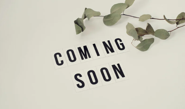 Check back soon for adoptable cats and kittens