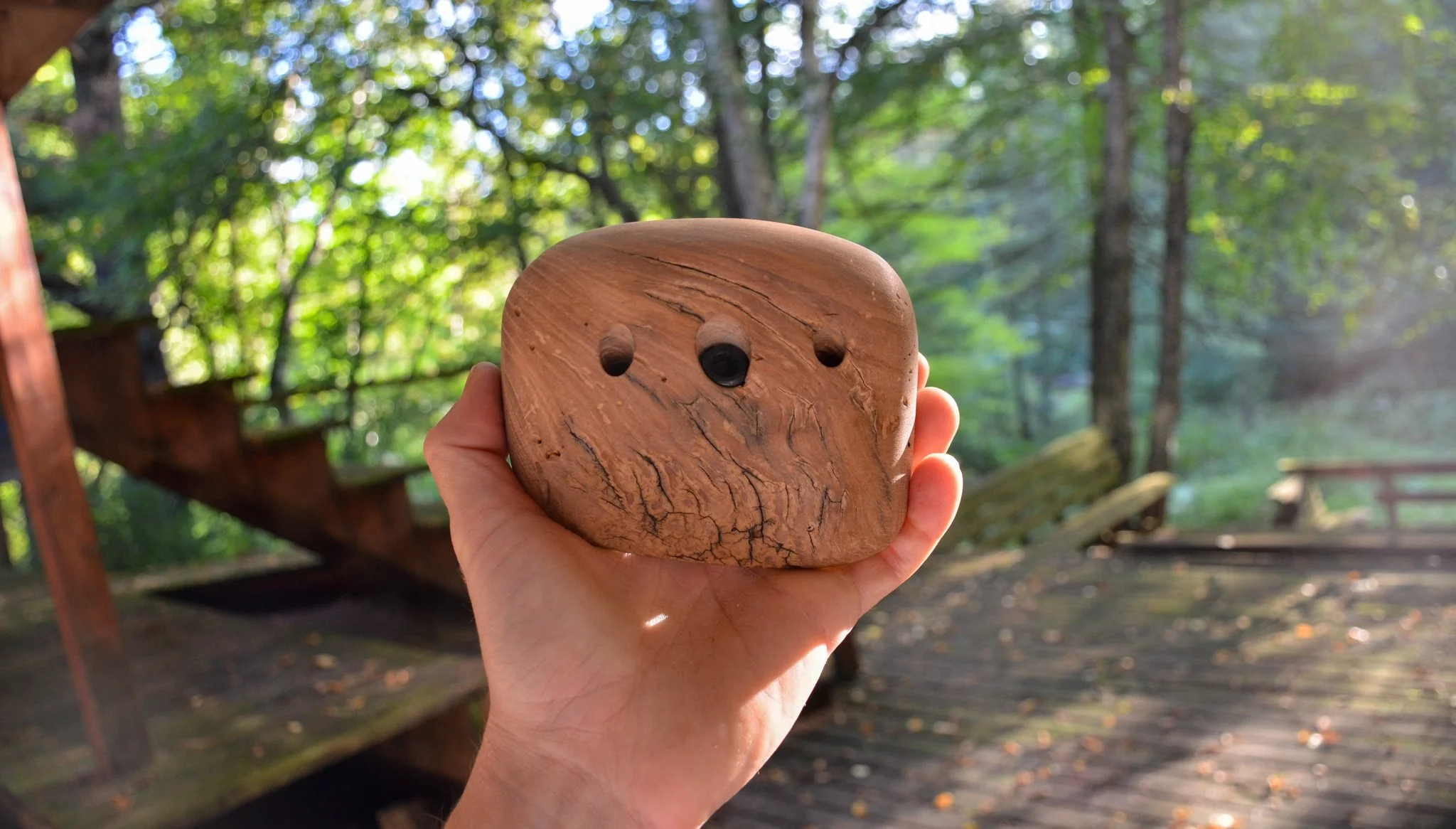 Wood Climbing Hold