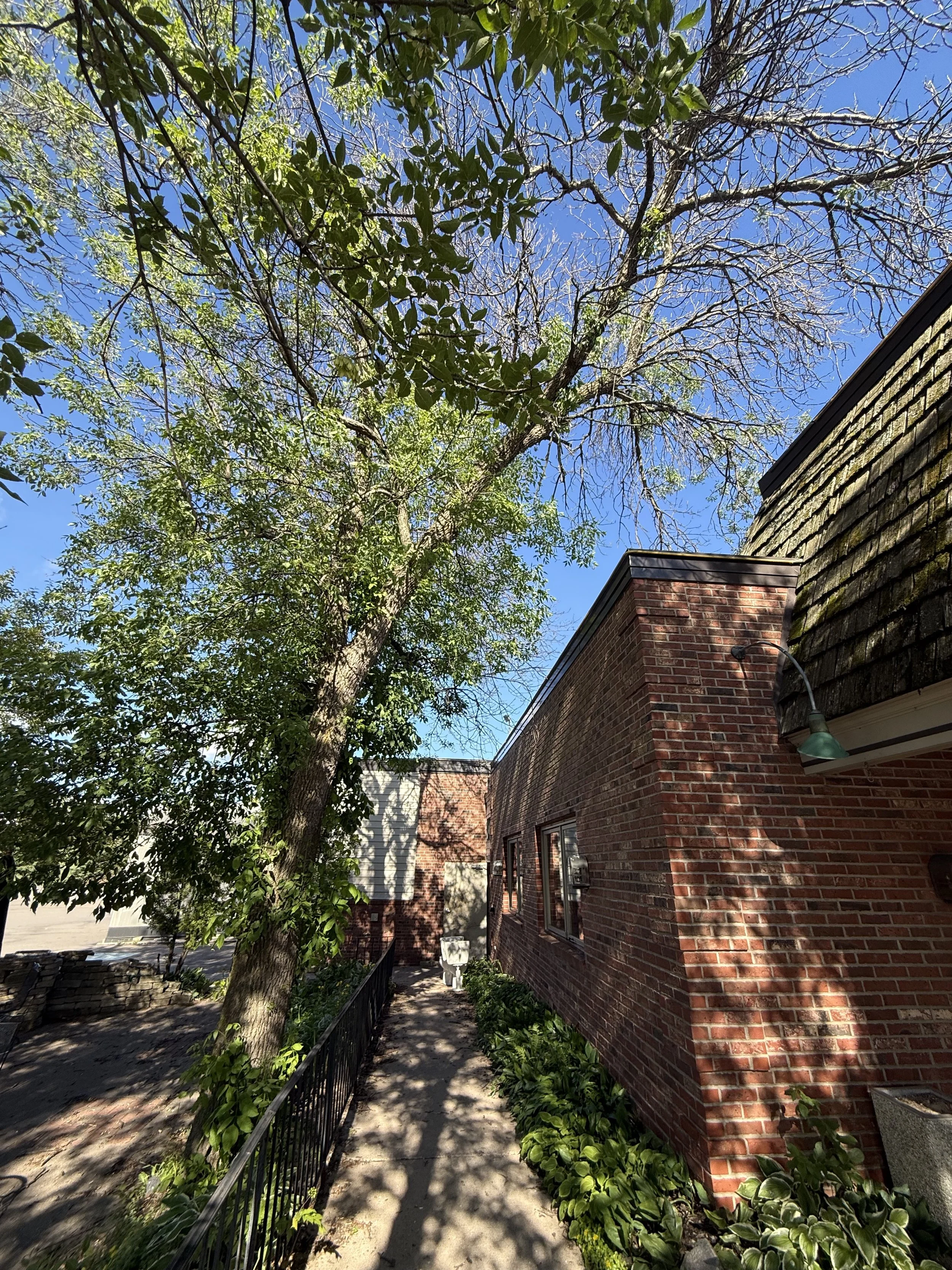 IMG_9118.jpeg