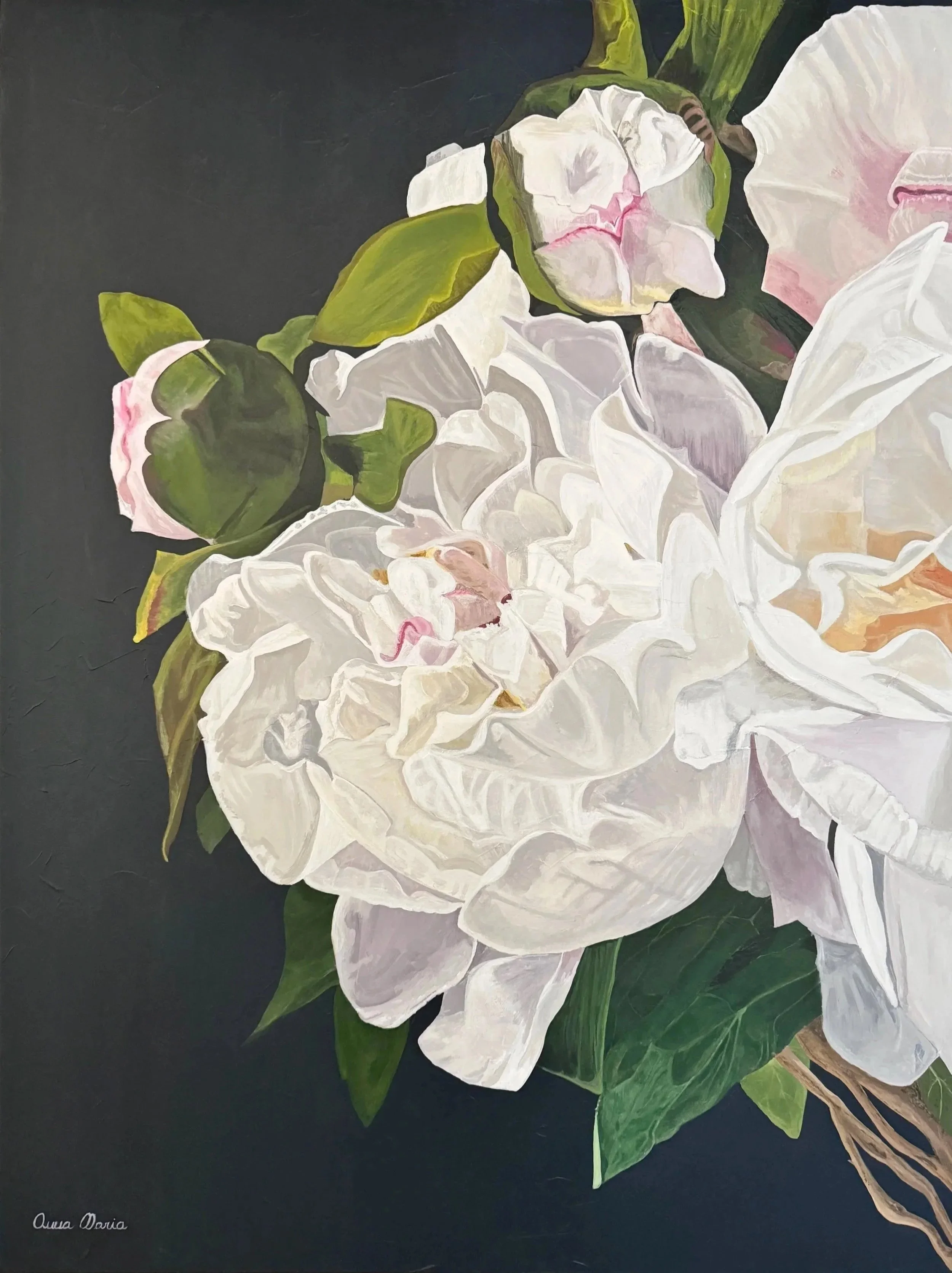A Moment in Spring, acrylic painting of pale pink and white peonies in bloom against a dark background.