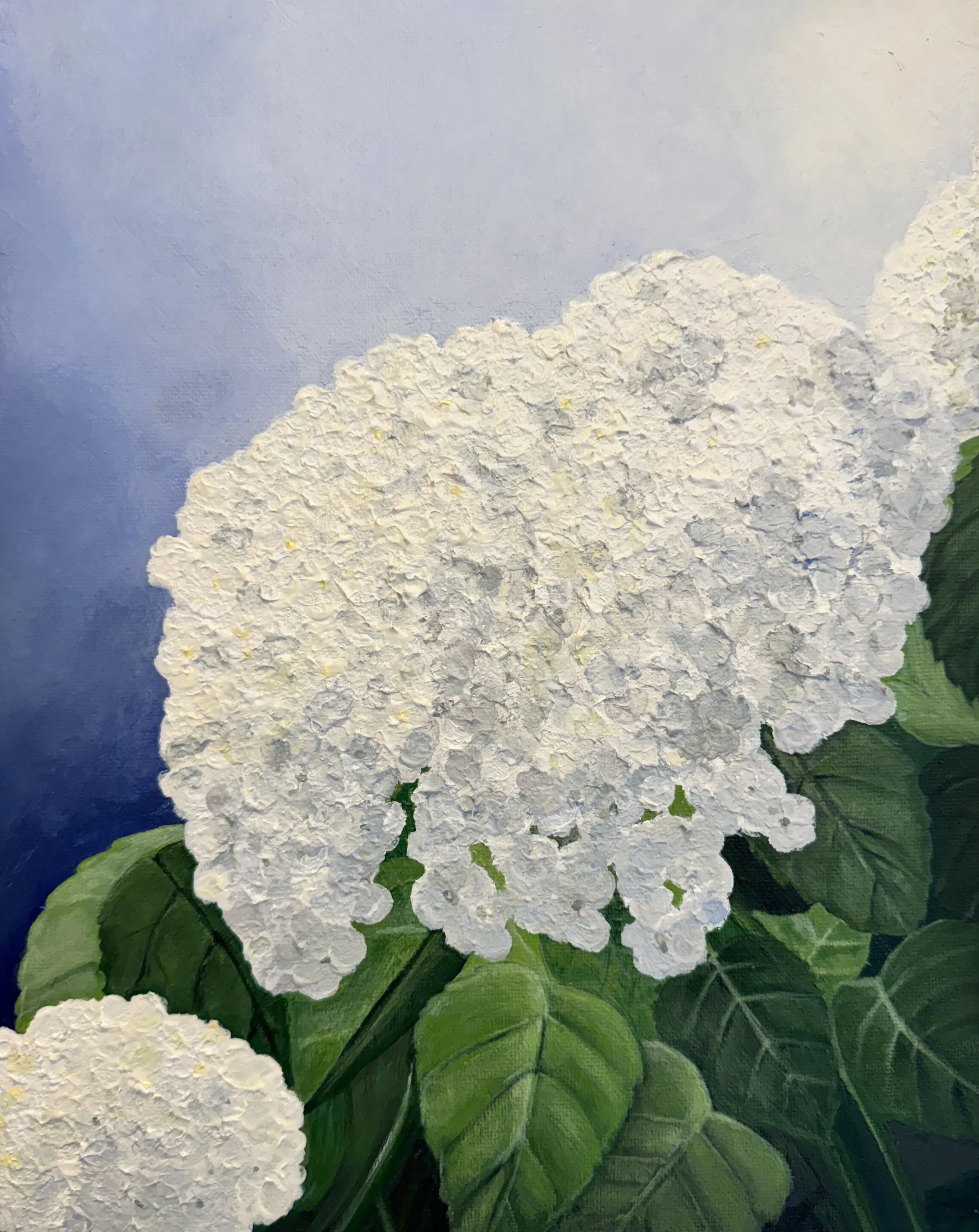 Acrylic painting of a white hydrangea bloom with green leaves against a soft blue background.