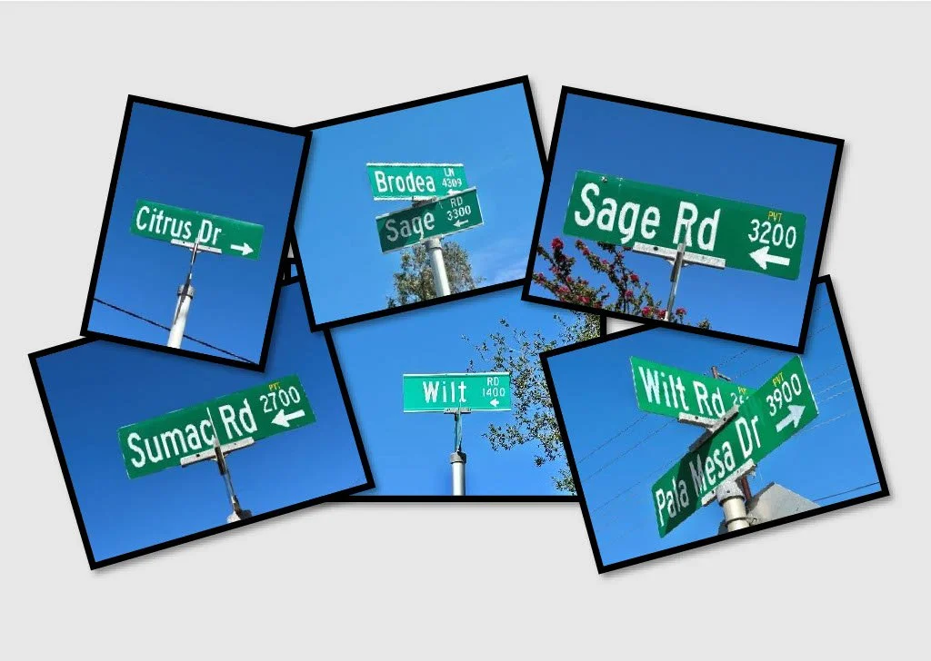 Street signs at intersections within PRD 13A in eastern Fallbrook, California, marking roads including Wilt Road, Sage Road, Sumac Road, and Brodea Lane amid rural residential surroundings.
