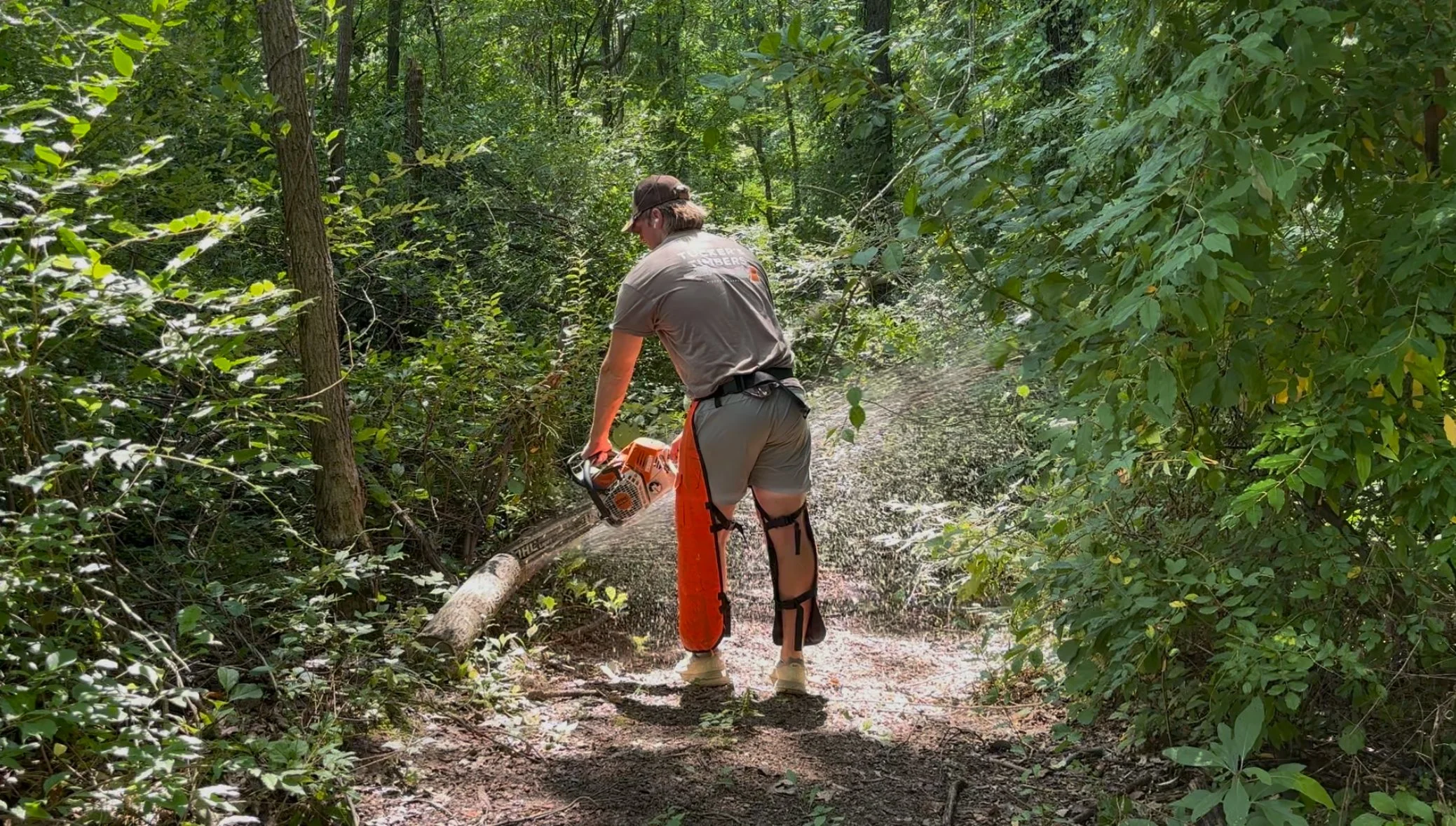 Chainsaw Service