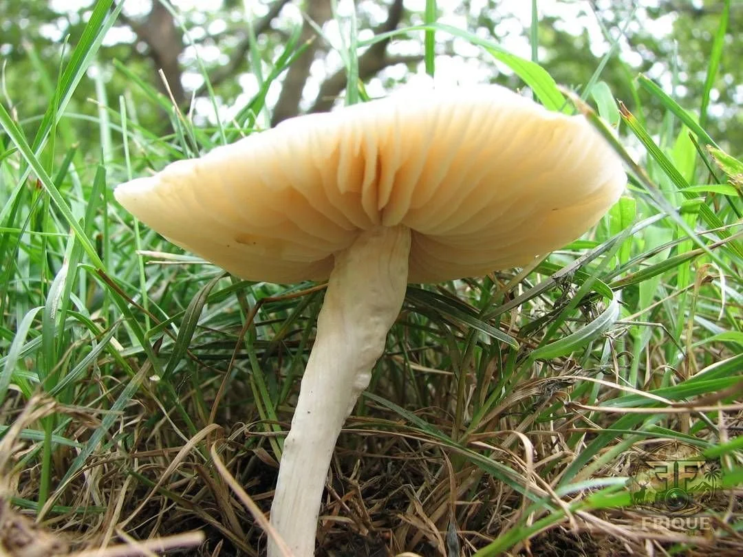9defd8f2daf08cf214717e5de2d40665_wm.jpg