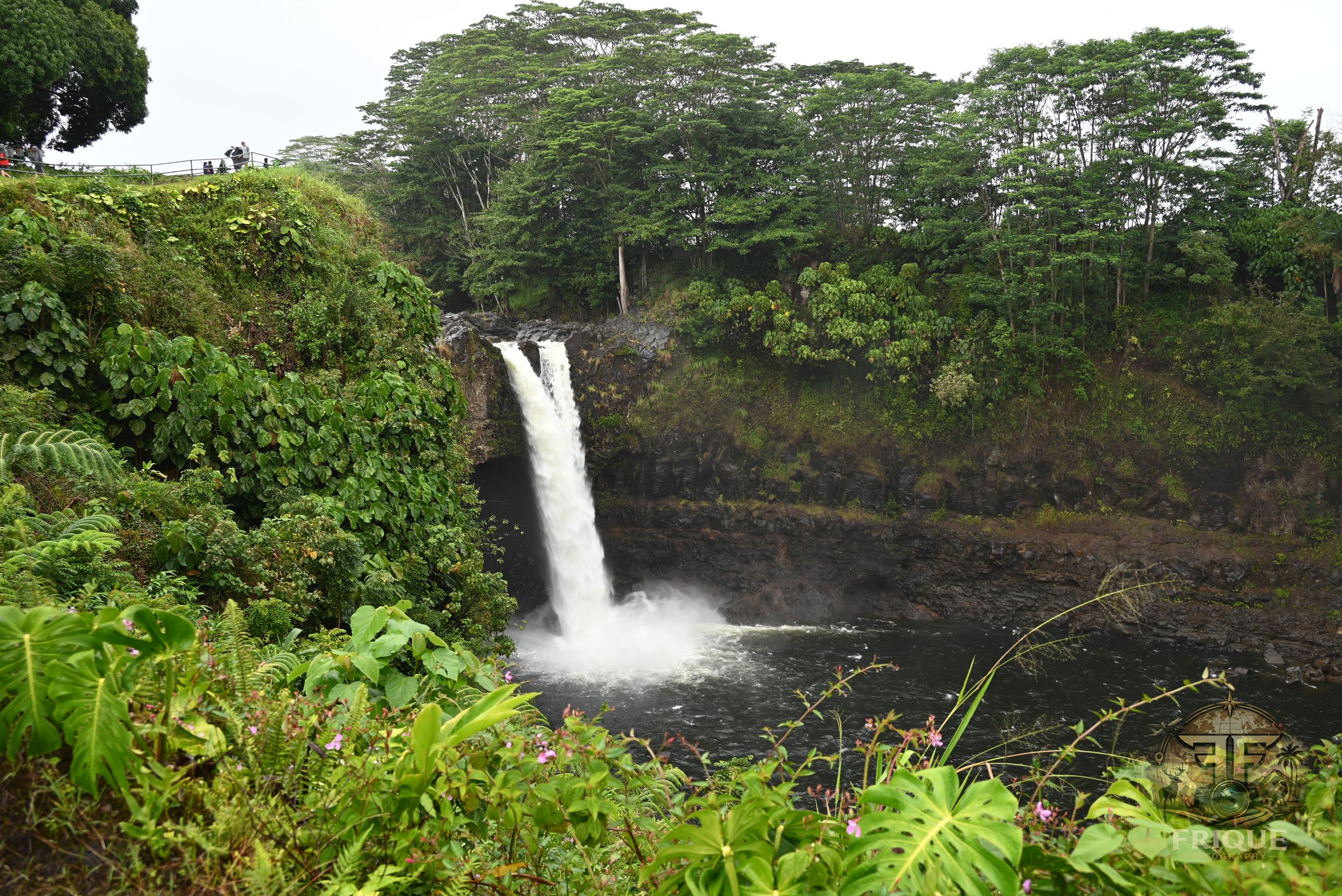 DSC_0587_wm.jpg