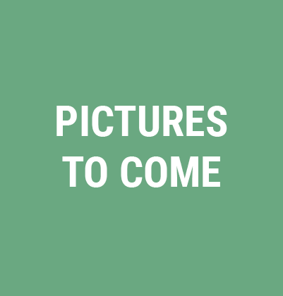 pictures-to-come.png