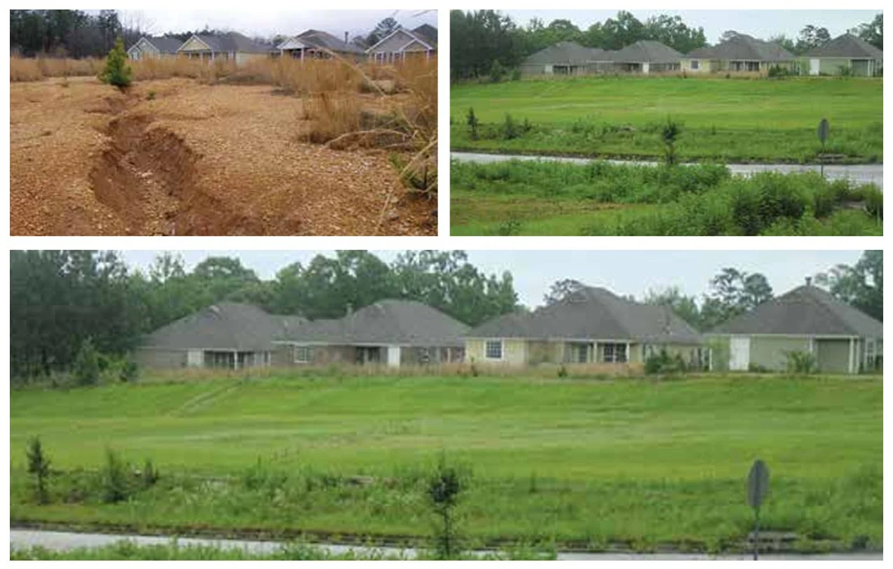 Comparison of a plot of land before and after landscaping and development, showing significant improvements to green space and surrounding environment.