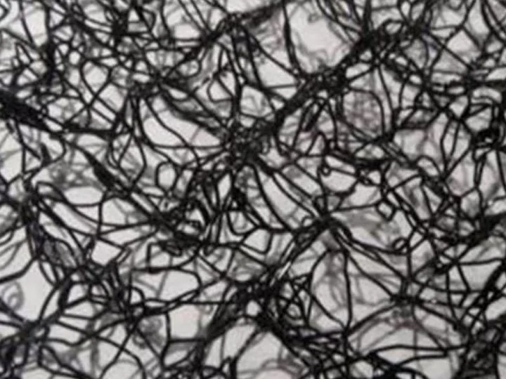 A close-up of tangled black strings or fibers on a white background.