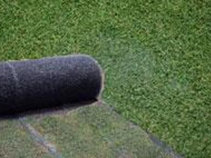Close-up of a roller brush on a lawn roller against a background of green grass.