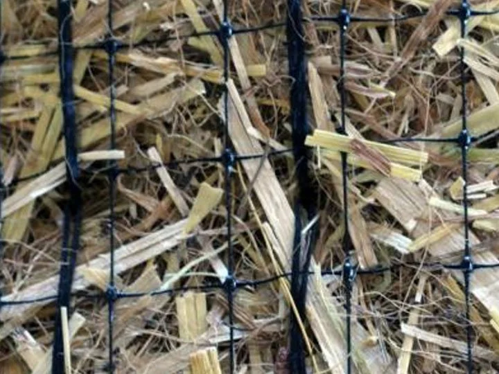 Close-up view of dried straw or hay in a black plastic mesh grid.