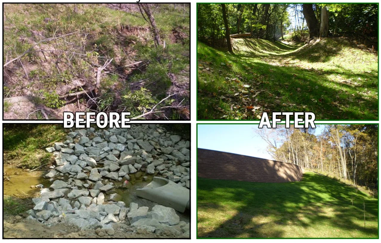 A collage comparing outdoor areas before and after landscaping work. Top left shows a bushy, overgrown area with shrubs and trees. Top right displays a cleared, grassy area with trees and a bench. Bottom left features a neglected creek bed filled with rocks and debris. Bottom right presents a well-maintained, grassy slope with a brick retaining wall and trees in the background.