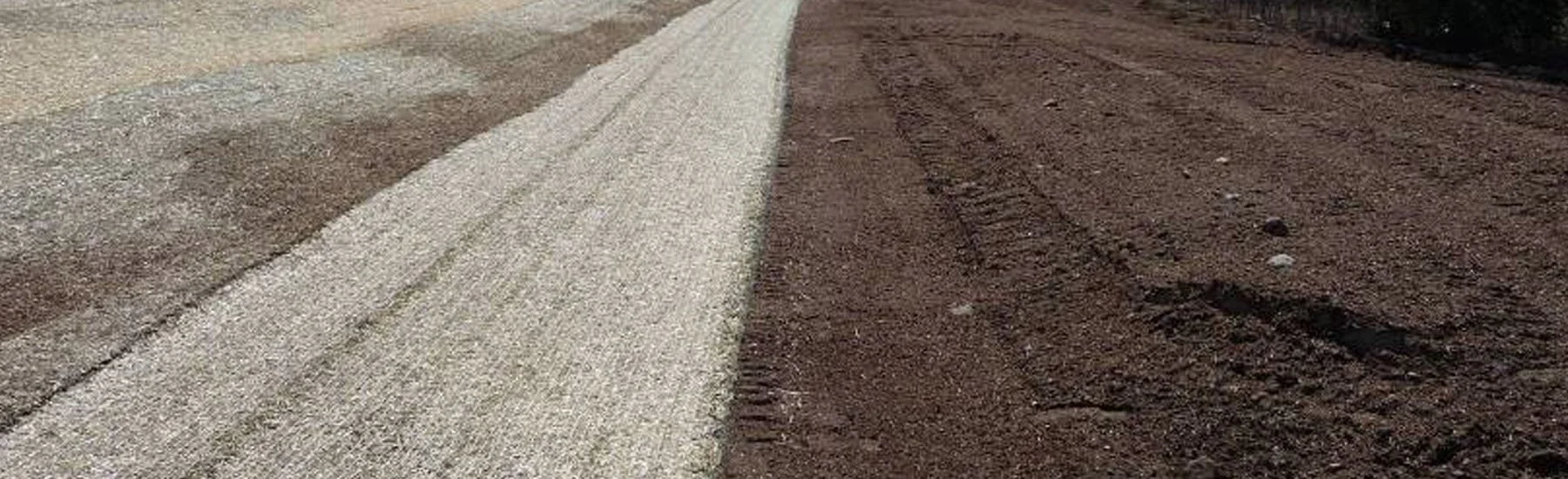 A dirt road with a white gravel lane on one side, stretching into the distance, with a clear sky above.
