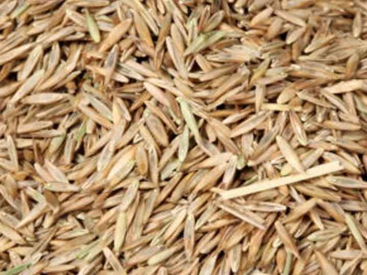 Close-up of a pile of straw or dried grass
