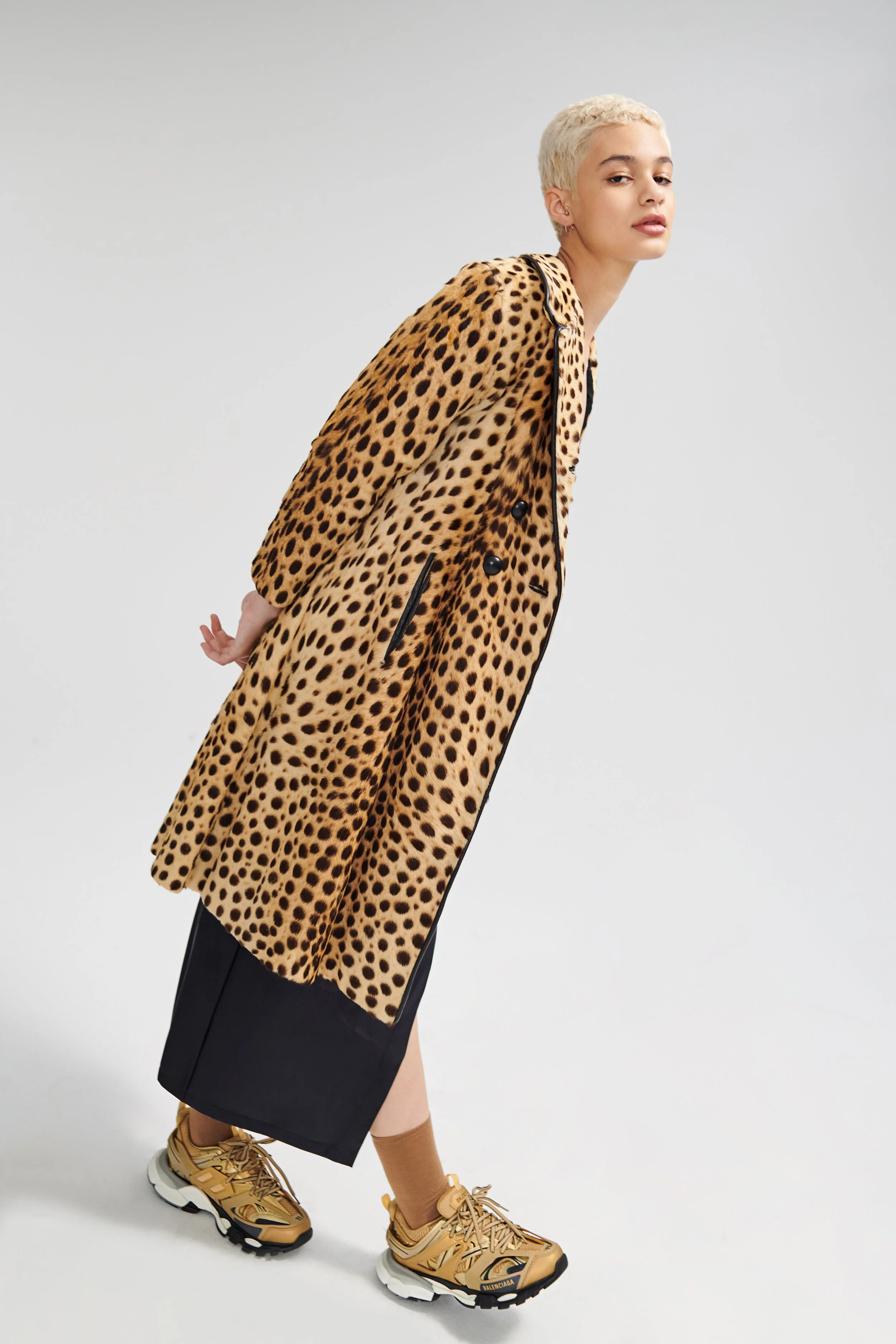 leopard.jpg
