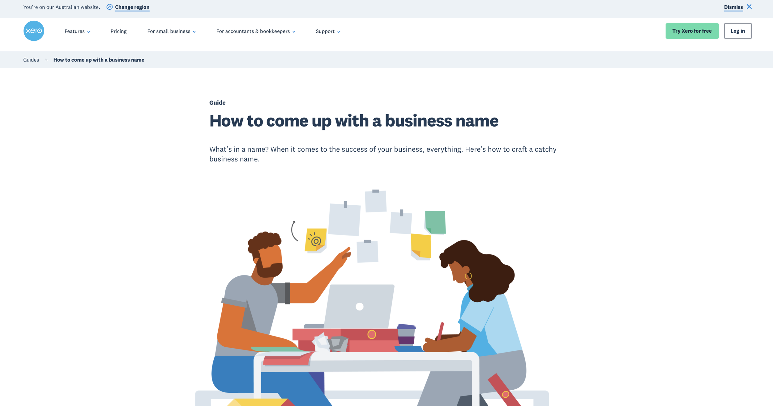 Articles: Xero Small Business Guides