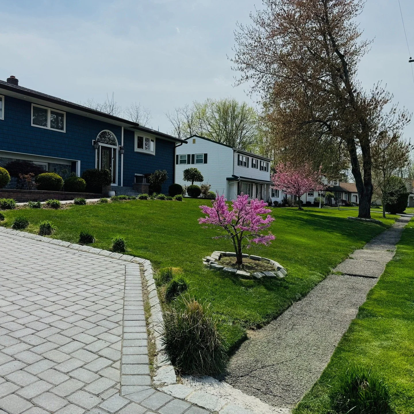 We are excited to bring innovative design to NJ and now to Instagram!! Please follow us for all your landscaping and design needs!

#njlandscapers #fullyinsured #bplandscapedesign #hardscapes #landscapes
