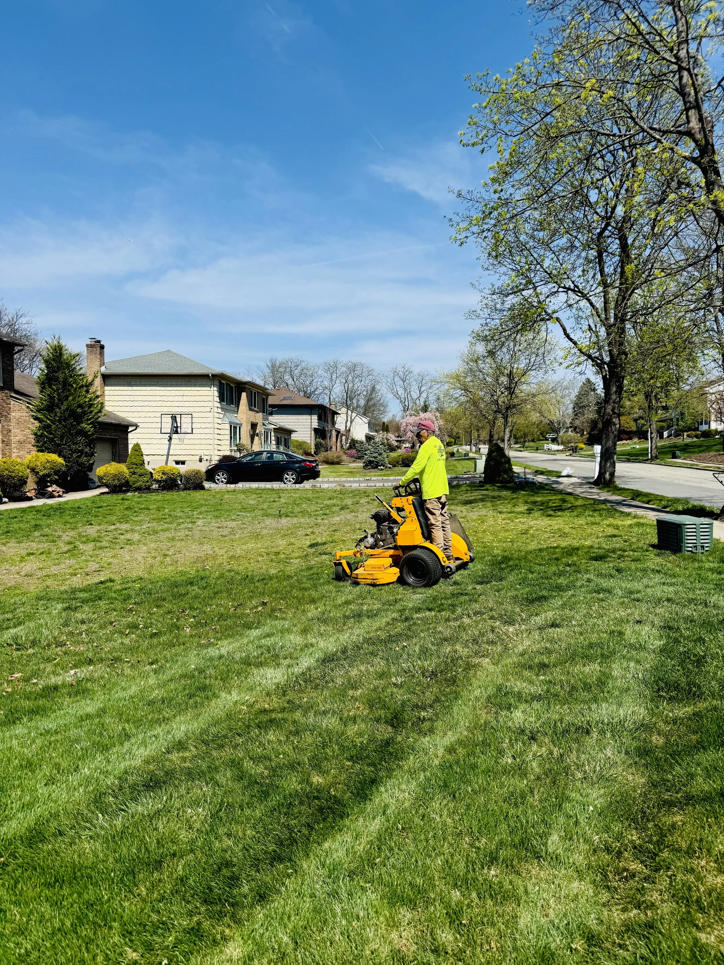 LAWN MAINTENENCE